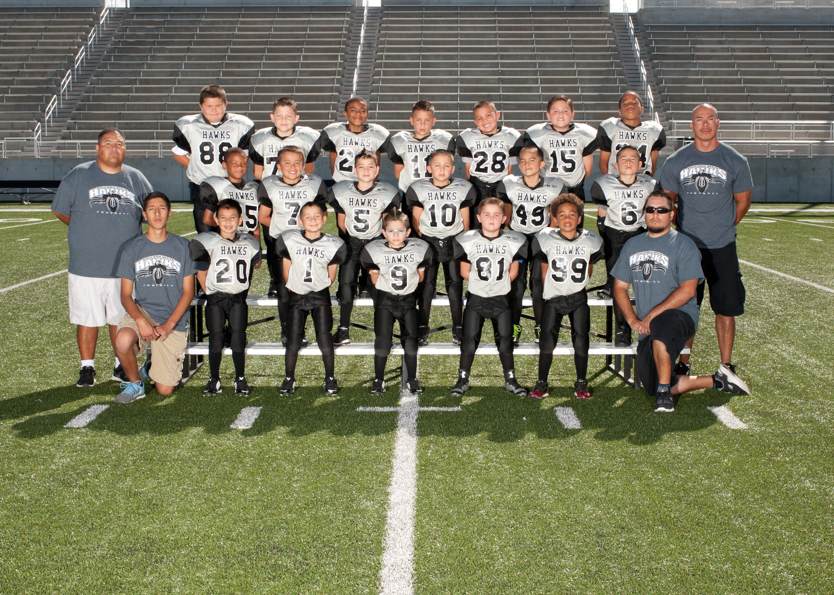 2014-Might-Mites-Volcano-Vista